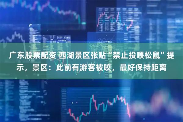广东股票配资 西湖景区张贴“禁止投喂松鼠”提示，景区：此前有游客被咬，最好保持距离